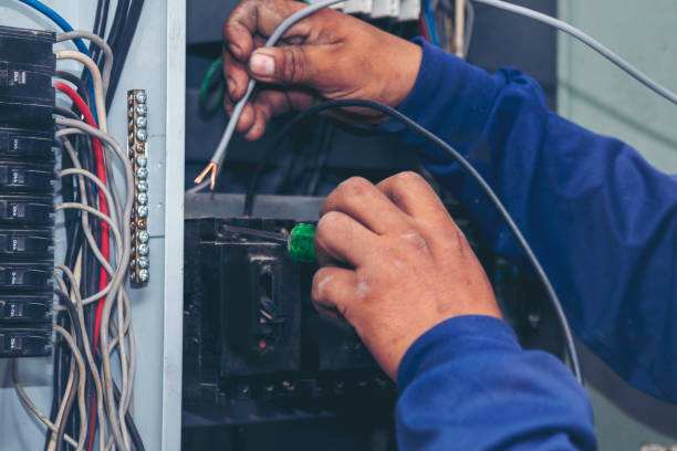 Best Home Electrical Repair  in Alderson, WV